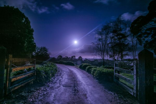 Luz das Estrelas e da Lua